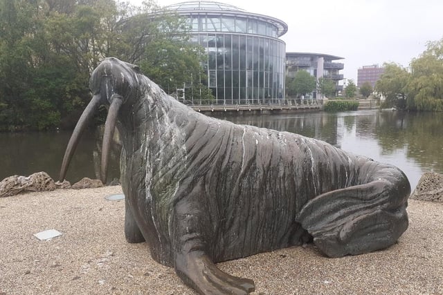 The walrus sculpture in Mowbray Park is in honour of author and sometime Sunderland Lewis Carroll and his poem The Walrus and the Carpenter. It's very popular, although as you can see the birds are less appreciative.