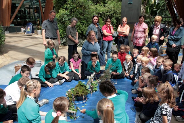 Children from Meynell Primary School in Parsons Cross showed off their environmental skills to launch Forest School week in 2007.