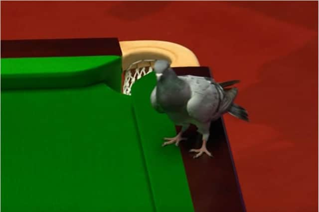 The pigeon landed on the table during the clash between Mark Selby and Yan Bingtao.