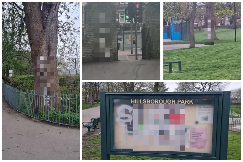 Vandals targeted Hillsborough Park in Sheffield overnight