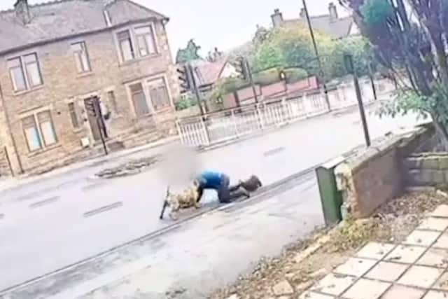 A man was attacked by a loose dog as he walked his own dog along the main road through Handsworth, Sheffield, last week