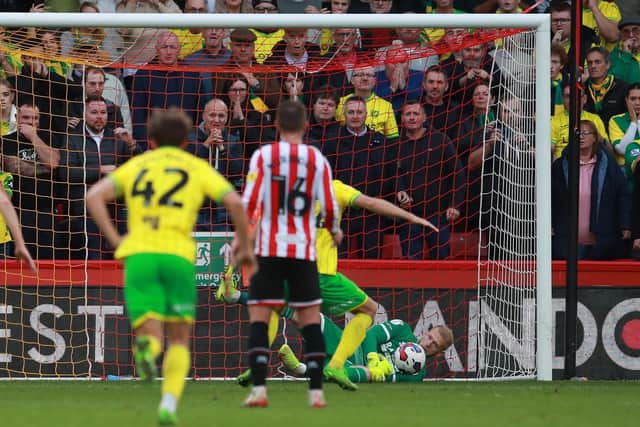 GOAL DENIER: Sheffield United's Adam Davies saves Teemu Pukki's penalty as Norwich City were held at Bramall Lane on Saturday