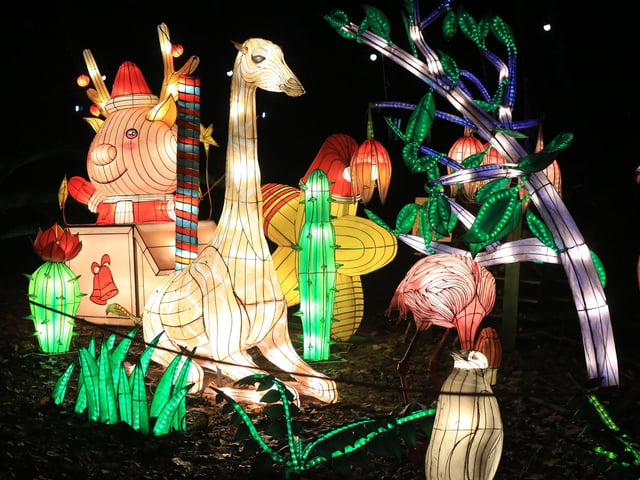 A spectacular light and lantern festival created some dazzling Christmas magic as the award-winning Yorkshire Wildlife Park unveiled the Winter Illuminations trail. Picture: Chris Etchells