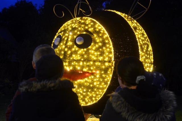 One of Sunderland's most-loved festivals has returned, with the Festival of Light lighting up Roker Park this year. It runs every Thursday - Sunday until November 13. Tickets are available from the My Sunderland website and are £3, although group discounts are available and children under two can enter for free.