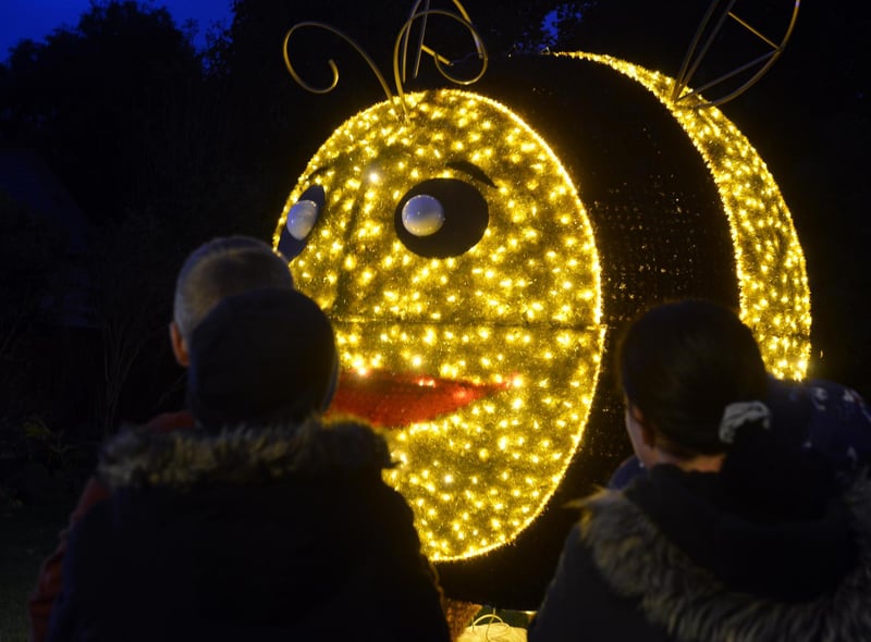 One of Sunderland's most-loved festivals has returned, with the Festival of Light lighting up Roker Park this year. It runs every Thursday - Sunday until November 13. Tickets are available from the My Sunderland website and are £3, although group discounts are available and children under two can enter for free.