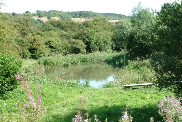 Shire Brook Valley Nature Reserve