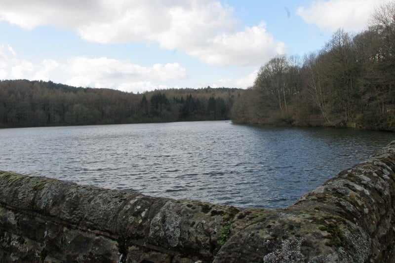 Linacre Reservoir is open all day, every day. Cyclists can follow tracks around the lower and middle reservoir, horse riders can enjoy a trot along the public bridleway and walkers can choose from a number of routes including one that takes them through a wooded valley. Nature enthusiasts can spot an abundance of birds, wildlife, flora and fauna that have made their home here.