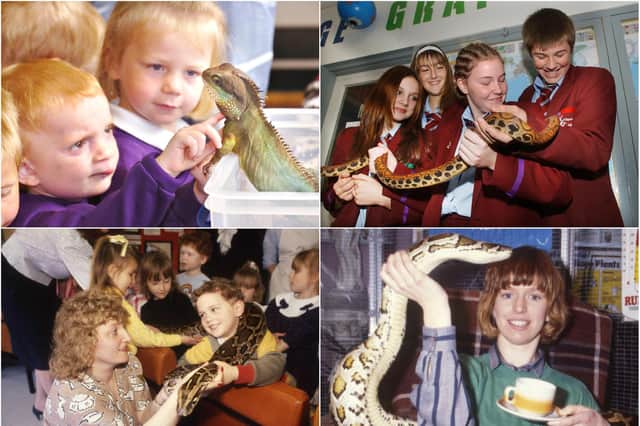 Is there a reptile scene that you remember from these Sunderland and County Durham scenes?