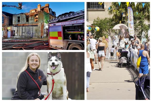 These are some of the best photos taken in Sheffield during the last seven days