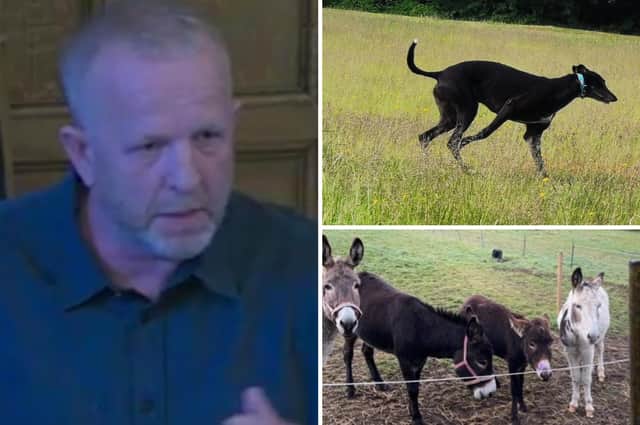 Mick Hill is appealing after planning permission was refused by Sheffield City Council to run a dog exercise area next to the stable for his rescue donkeys on green belt land in the Rivelin Valley
