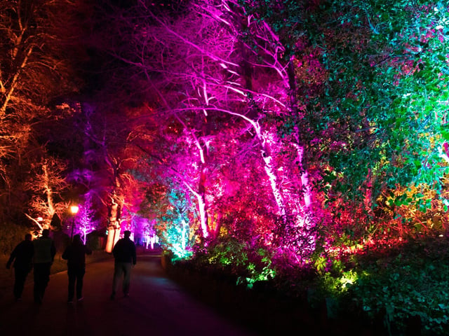 Edinburgh Zoo is once again inviting people to enjoy a magical journey following a spectacular light trail, including projections, twinkling fairy lights and more. Running from November 19-January 2, there will be an adults-only evening on December 10, while children can also book a visit to Santa's Grotto. Splash out on a VIP ticket and you can dine in the Grasslands restaurant and get early entry.
