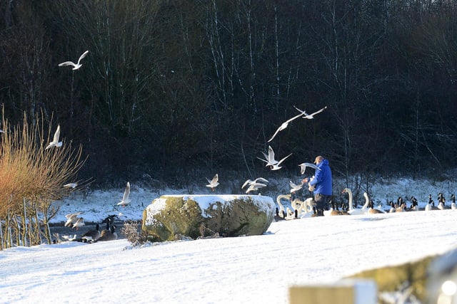 Making sure our feathered friends don't starve at Herrington Country Park