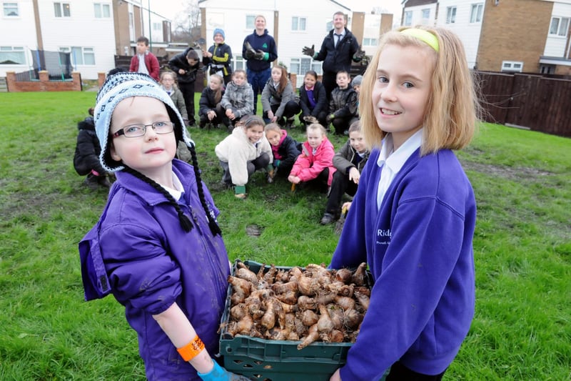 Pupils Michael Rising and Maya Krawczyk helped to plant daffodil bulbs across Harton Moor Estate in 2014.
