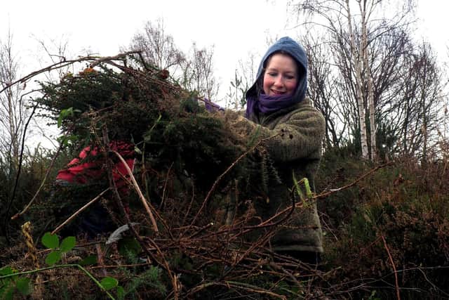 Wadsley Common conservation work: Helen Stathers clearing brambles