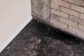 Residents at the Leverton Gardens flats have said they often find urine in the communal areas.
