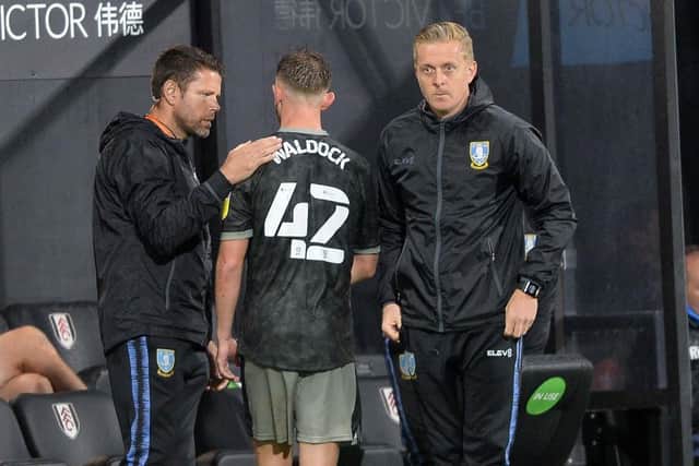 Liam Waldock impressed on his Sheffield Wednesday debut last night. (Pic Steve Ellis)