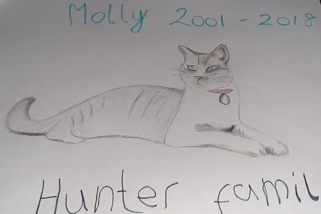 The Hunter family did this beautiful picture of their much-missed cat Molly.