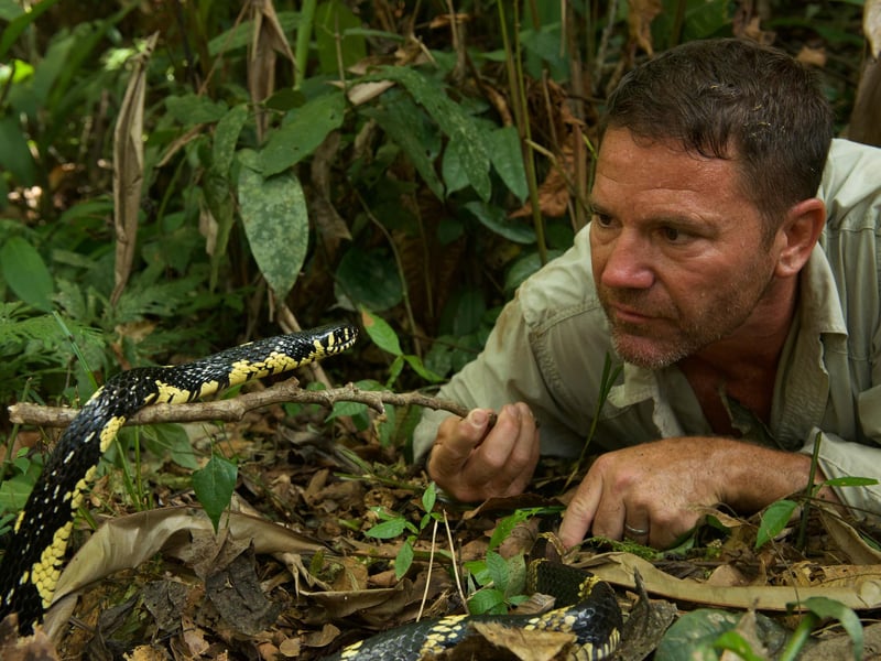 Naturalist, explorer, presenter and writer Steve Backshall