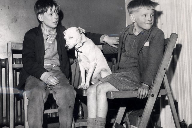 David and William Trigg, safe in a school reception centre after the hurricane that hit Sheffield on February 26, 1962