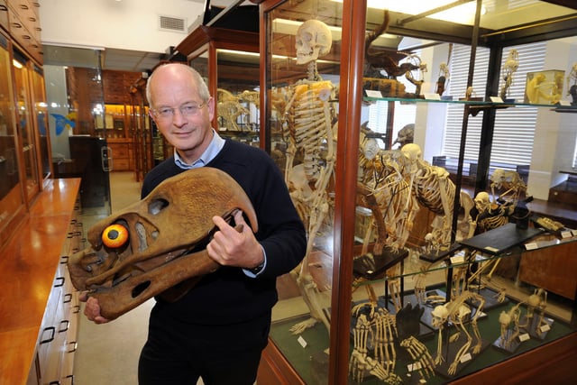 The Alfred Denny Museum at Sheffield University is a bit of a hidden gem, housing many fascinating artefacts from fossils to a collection of animals stored in alcohol and even an emperor penguin collected during Scott’s Arctic expedition. But perhaps its most intriguing exhibit is this cast of the skull of a terror bird, pictured in the hands of curator Professor Tim Birkhead. The prehistoric flightless bird-of-prey was one and a half times bigger than a human, prowled around on its back feet hunting for food and could eat a small deer. The museum is usually open for pre-booked guided tours at 10am, 11am and 12pm on the first Saturday of each month, and with only 25 places per tour it's recommended to book early.