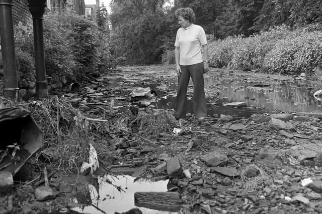 A woman looks at the debris and rubbish left behind at the Canonmills Colonies when the Water of Leith dried up during the drought of July 1978.