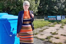 Coun Fran Belbin, who represents Firth Park ward on Sheffield City Council, in a recycling area next to Firth Park that has been cleaned up with the help of council funding