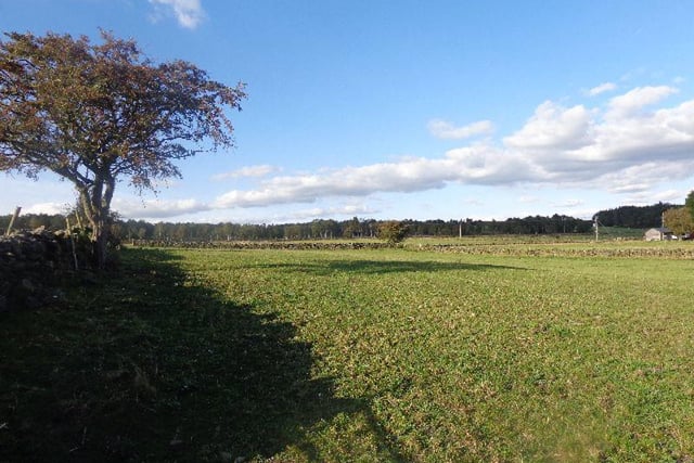 This 14.11 acre stretch of land will be sold at an auction on November 22nd, with the bidding starting at £100,000.