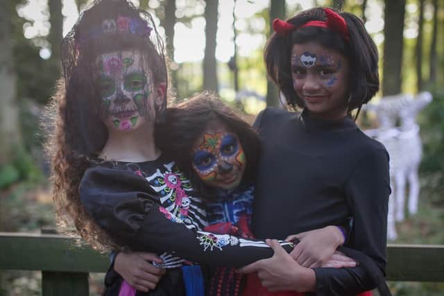 A week of halloween hauntingly good fun at Stockeld Park in Wetherby