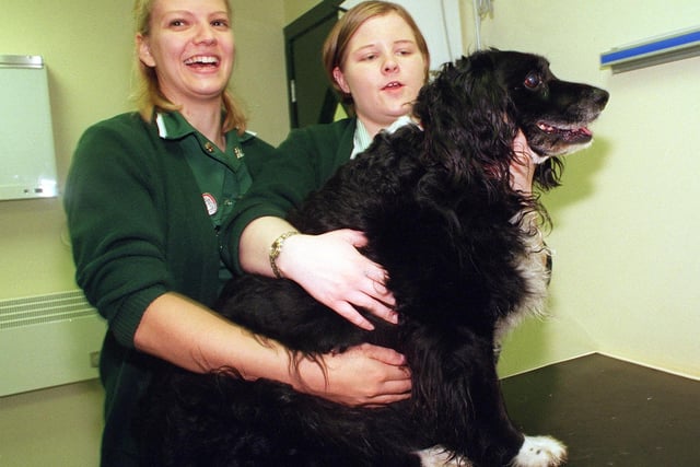 Veterinary nurses Lisa Weighill left and Heather Duffy, pictured with 'Benji, 10 at the Companion Care Veterinary Surgery, Chesterfield back in 1999