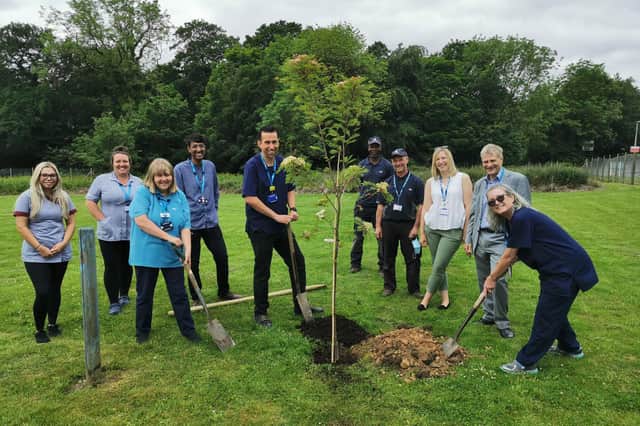 15 trees including crab apple, rowan, and cherry were planted at Woodland View, a nursing home run by Sheffield Health and Social Care NHS Foundation Trust.
