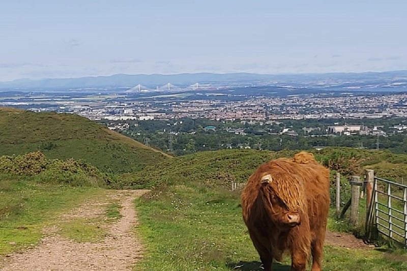 A perfect panorama across the city and out to the Forth (Pic: Aileen Candlish)