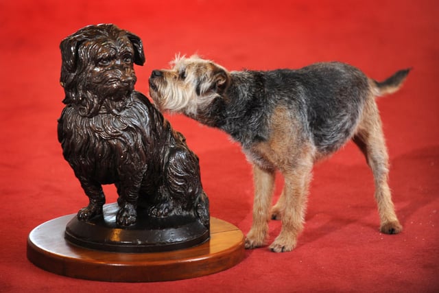 In January 2013 the original plaster model of the famous Greyfriars Bobby statue was to auctioned by Lyon & Turnbull, valued at up to £1,000. Pictured taking a closer look at the model is Joey the Border Terrier.