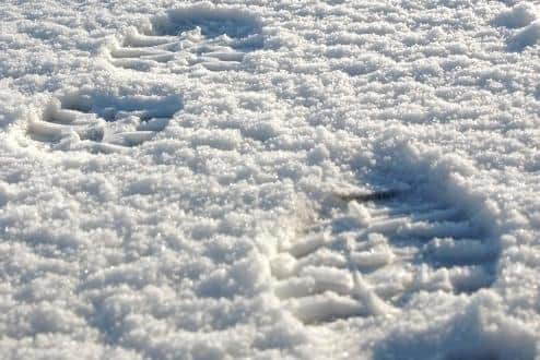 Footprints in the snow were seen heading away from where the woman was murdered