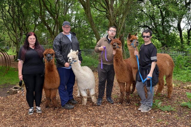 Willow Tree Family Farm in Shirebrook is run by volunteers and it has alpaca and reindeer. To book a ticket visit www.willowtree-farm.co.uk.