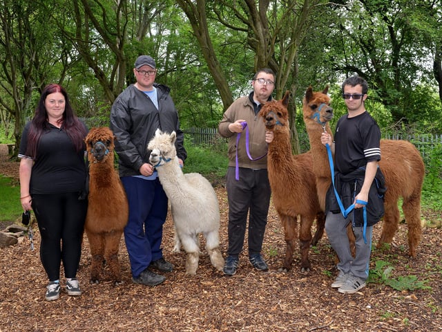Willow Tree Family Farm in Shirebrook is run by volunteers and it has alpaca and reindeer. To book a ticket visit www.willowtree-farm.co.uk.