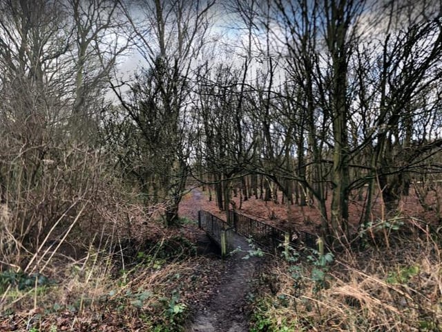 Sandal Beat Wood is a round 3.1 kilometer trail you could cycle around.