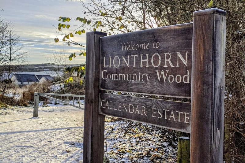 Lionthorn Wood (Pic: Nicola Orr)