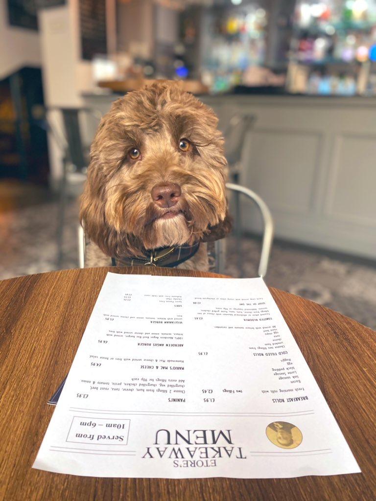 PR, Rachel Flynn, took her dog Biddy on to lunch at their local watering hole, Etore's, on Edinburgh’s Slateford Road. Rachel had macaroni cheese, and Biddy had three gravy bones and some water.