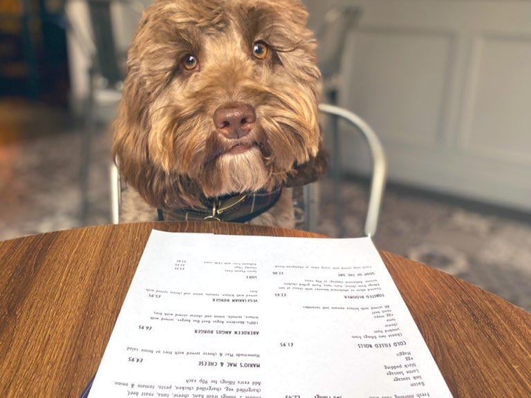 PR, Rachel Flynn, took her dog Biddy on to lunch at their local watering hole, Etore's, on Edinburgh’s Slateford Road. Rachel had macaroni cheese, and Biddy had three gravy bones and some water.