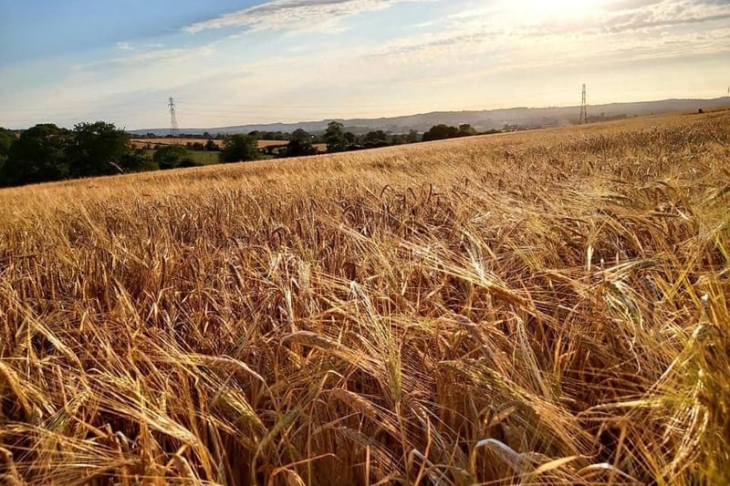 Ben Stocks, said: "Walking in the fields in summer, it always makes me happy to live in an amazing place."