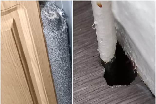 The damage that has been caused by the rats