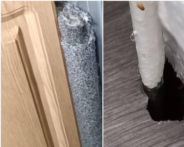 The damage that has been caused by the rats