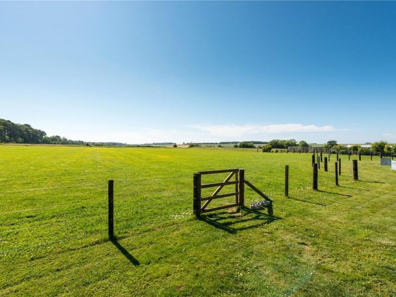 Field.