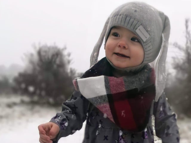 Enjoying the snow falling. From Becky Hammond.