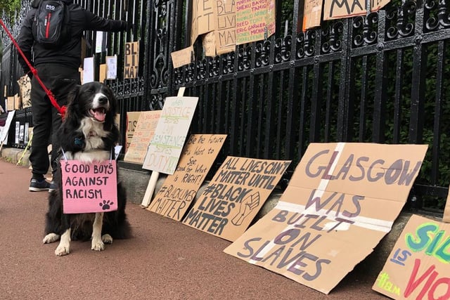 A dog photographed sitting next to anti-racist signs and sporting one itself saying: "Good boys against racism"