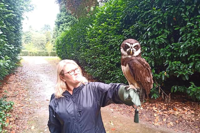 A bird in the hand - The Hawkeye UK Falconry Experience is a must.