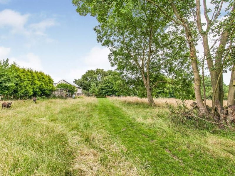 Another view of the paddock. It is rural living at its best, and yet the M1 is only a short drive away.
