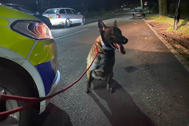 A man was found carrying a lock-knife after he was tracked down by a police dog during in Sheffield