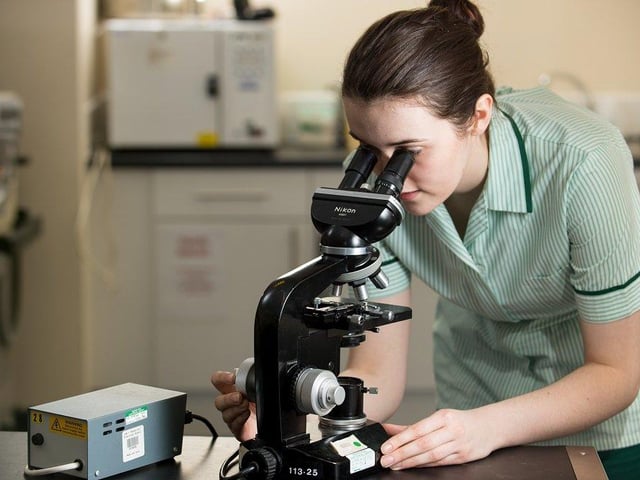 Veterinary Nurses are the 15th most likely to be exposed at work