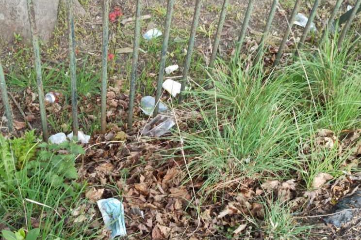 Litter on Dunston Road verge and Gilbert Heathcote Nursery and Infant School field